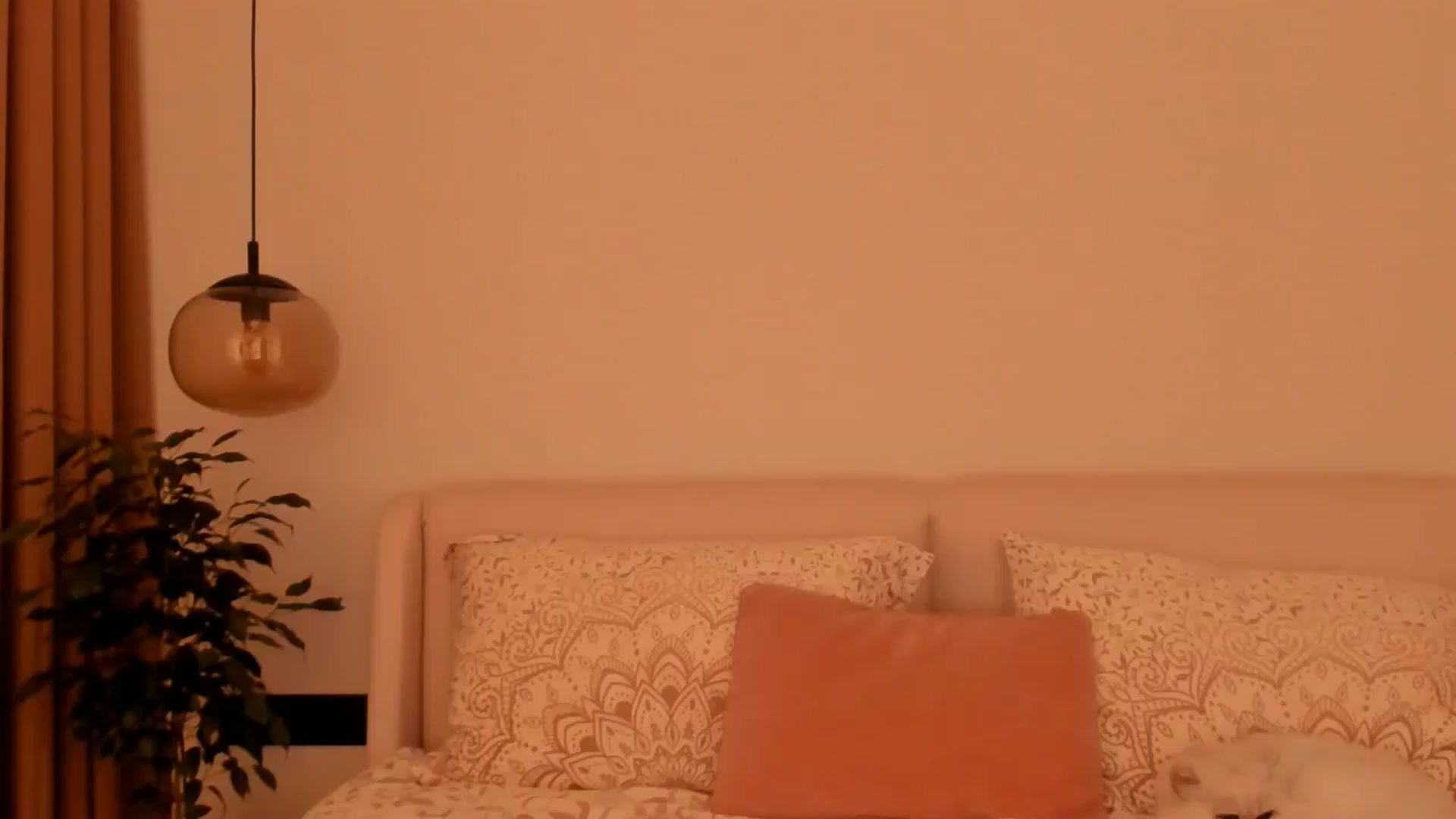 Gallery image thumbnail from Annaliss's myfreecams stream on, 11/24/2025, 07:51 image 8 of 20