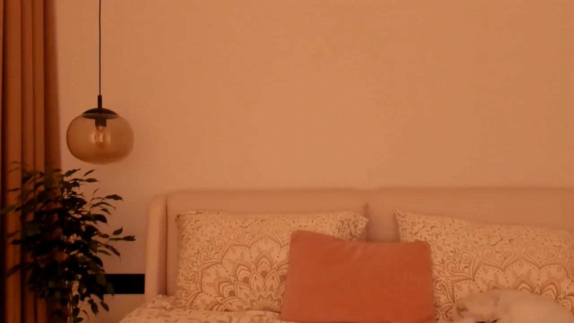 Gallery image thumbnail from Annaliss's myfreecams stream on, 11/24/2025, 07:51 image 11 of 20