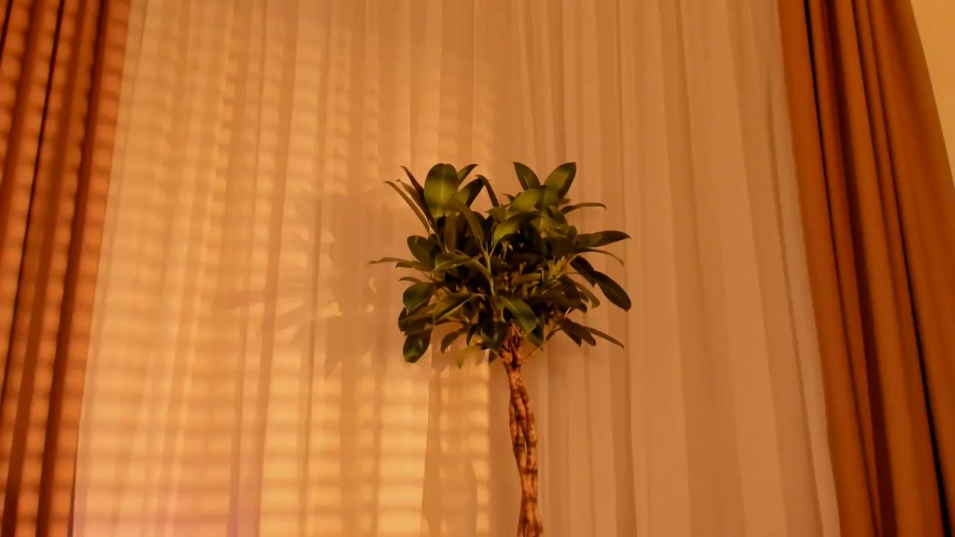Gallery image thumbnail from Annaliss's myfreecams stream on, 11/30/2025, 02:49 image 19 of 20