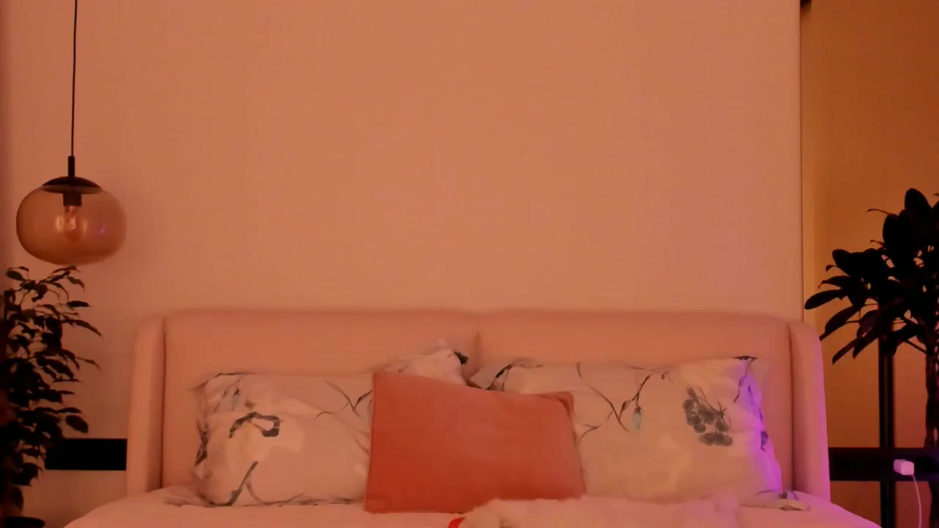Gallery image thumbnail from Annaliss's myfreecams stream on, 12/08/2025, 15:18 image 8 of 20