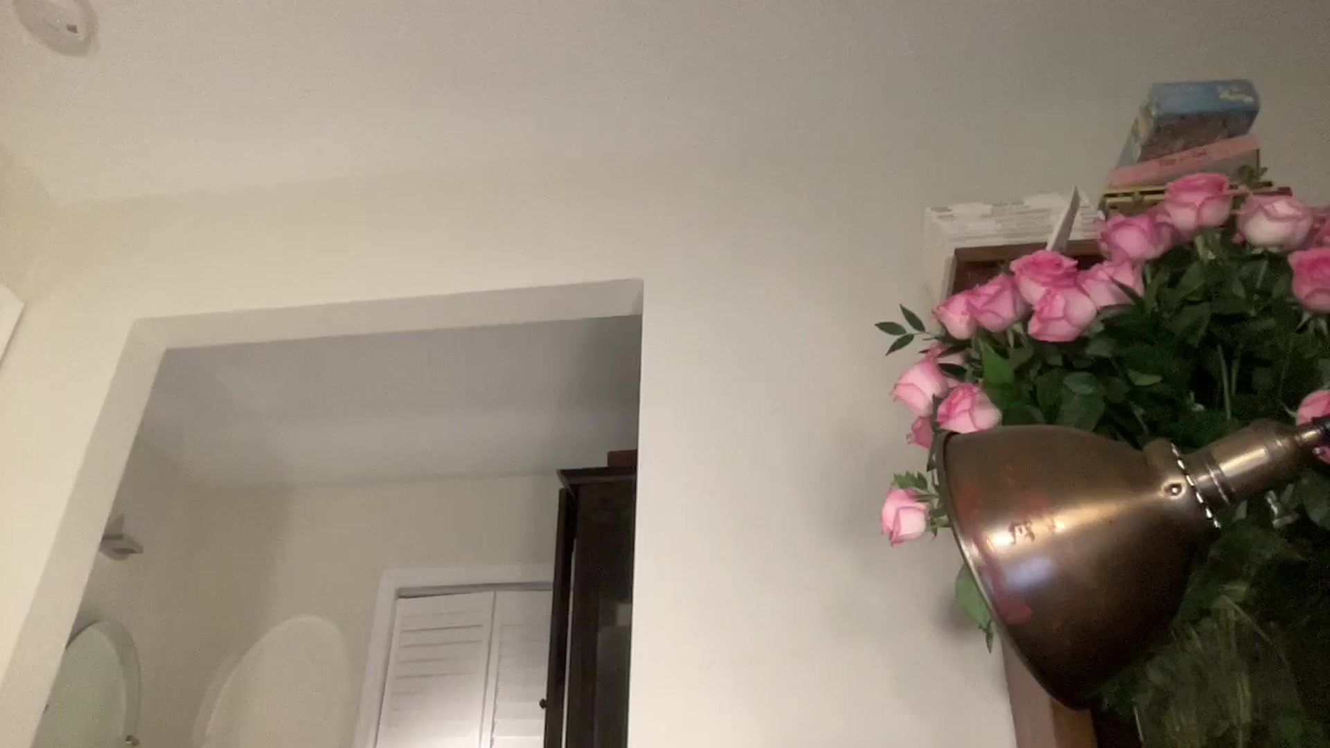 Gallery image thumbnail from Annareylee's myfreecams stream on, 10/11/2024, 05:43 image 16 of 20