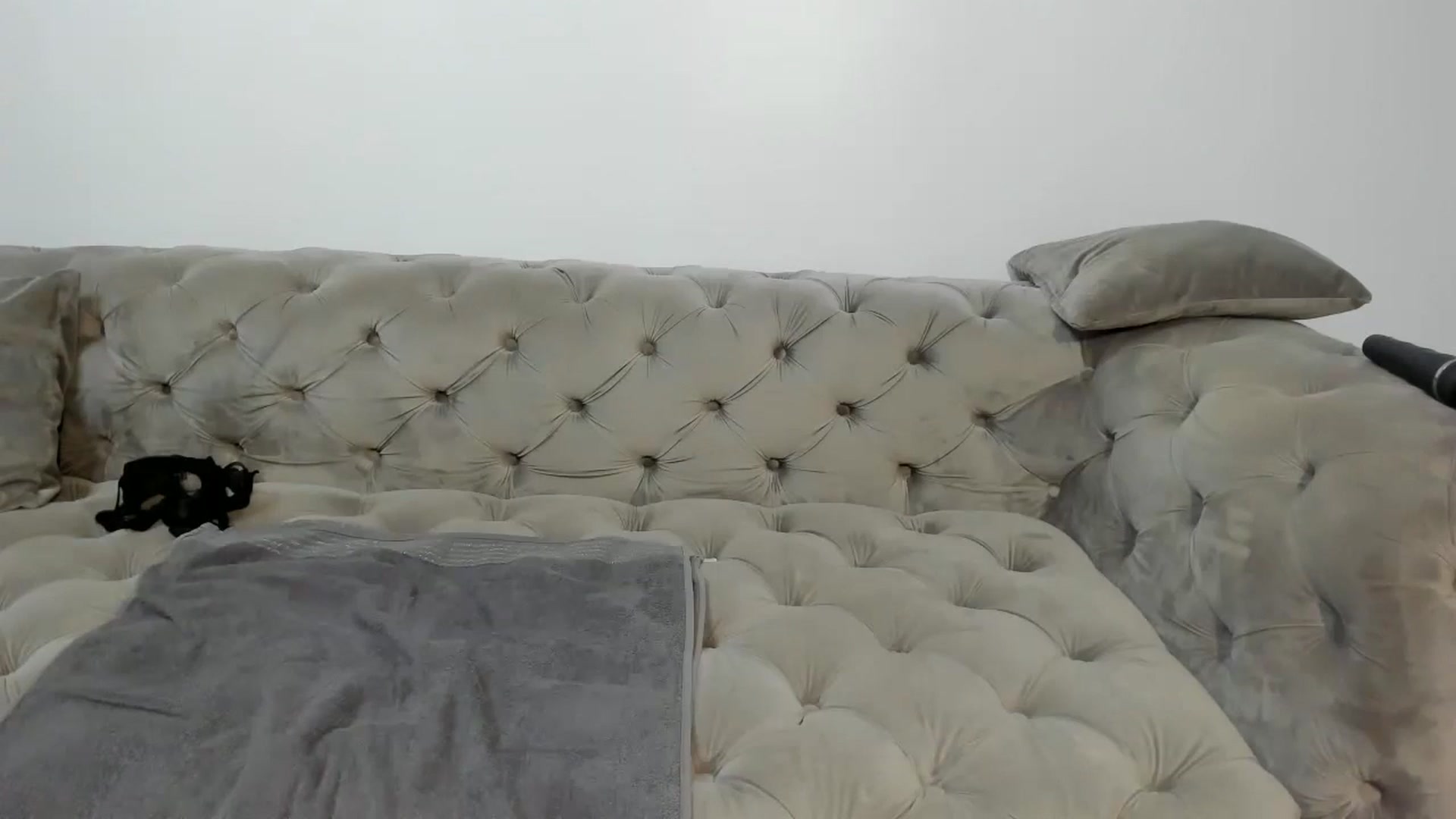 Gallery image thumbnail from Anne_Marieee's myfreecams stream on, 10/30/2024, 04:19 image 6 of 20