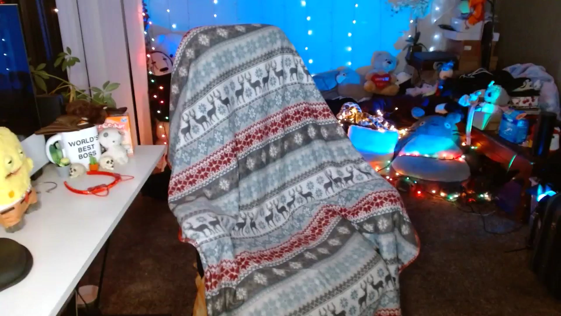 Gallery image thumbnail from Anne_mfc's myfreecams stream on, 12/31/2025, 09:13 image 2 of 20