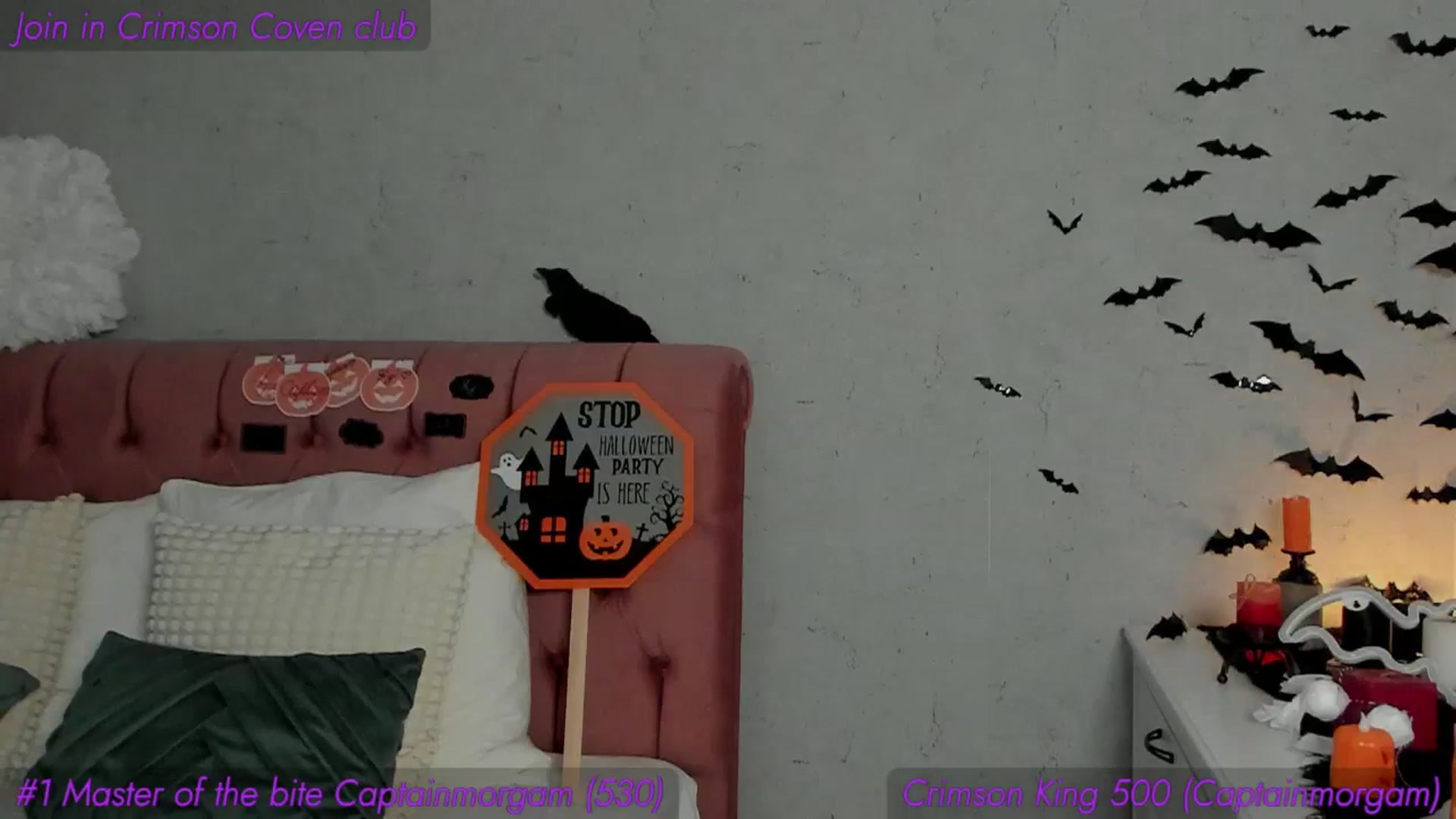 Gallery image thumbnail from AnnieKarrera1's myfreecams stream on, 11/01/2025, 11:03 image 6 of 20