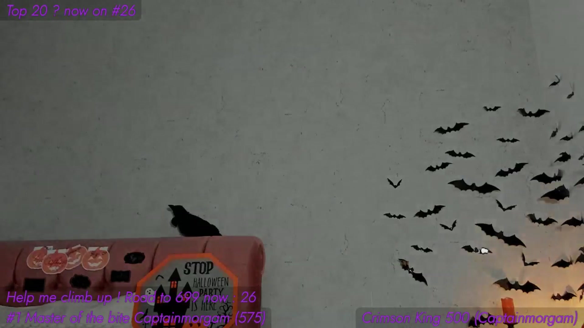 Gallery image thumbnail from AnnieKarrera1's myfreecams stream on, 11/01/2025, 11:03 image 13 of 20
