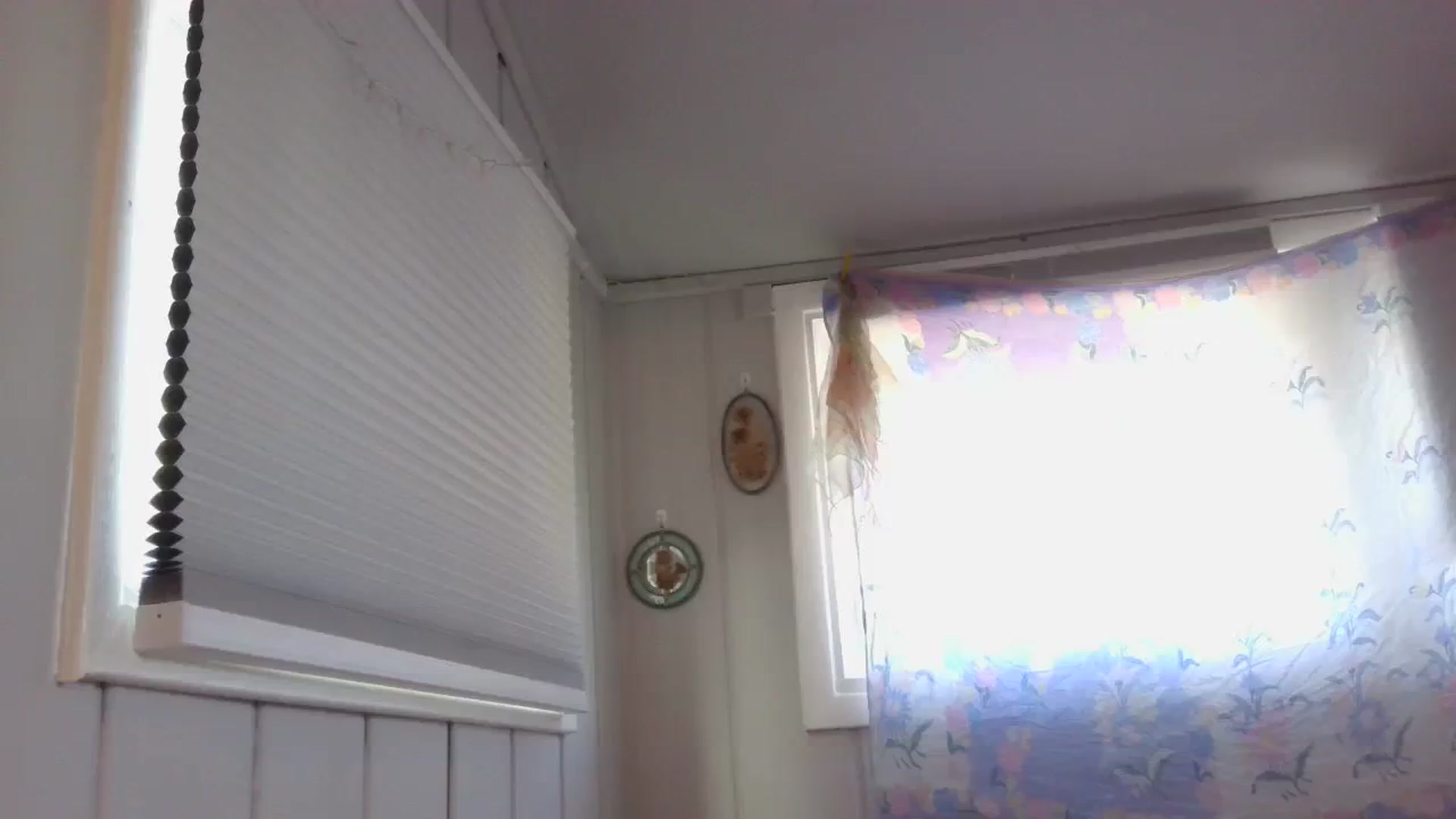Gallery image thumbnail from Annie_thing4u's myfreecams stream on, 08/05/2023, 01:35 image 20 of 20