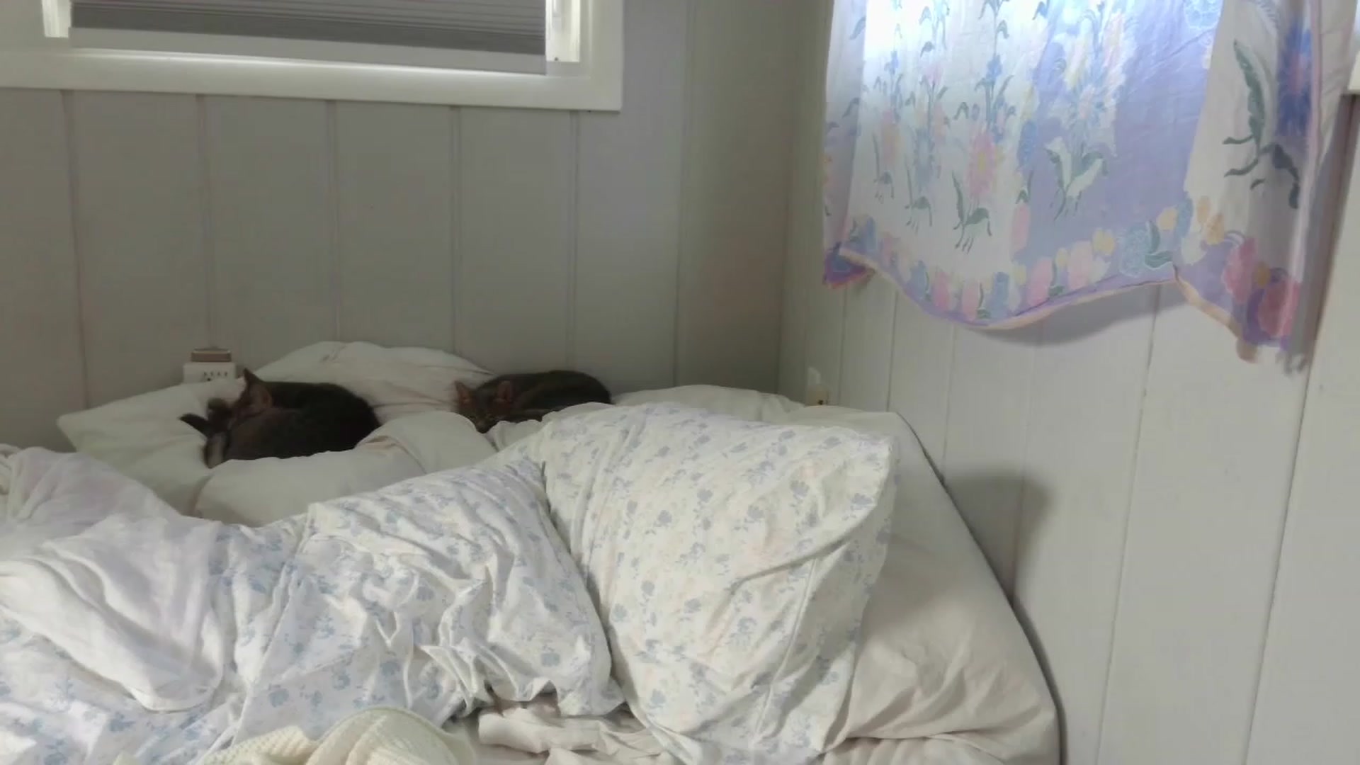 Gallery image thumbnail from Annie_thing4u's myfreecams stream on, 08/17/2023, 23:58 image 4 of 20
