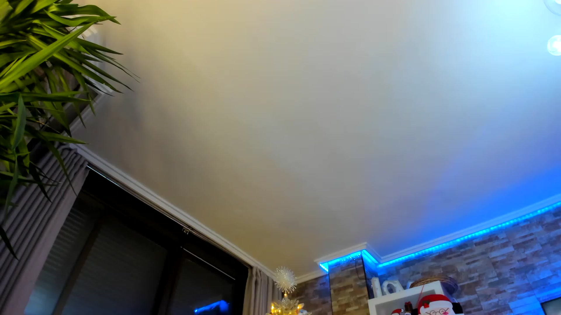 Gallery image thumbnail from AnooKiss's myfreecams stream on, 12/07/2022, 24:08 image 10 of 20