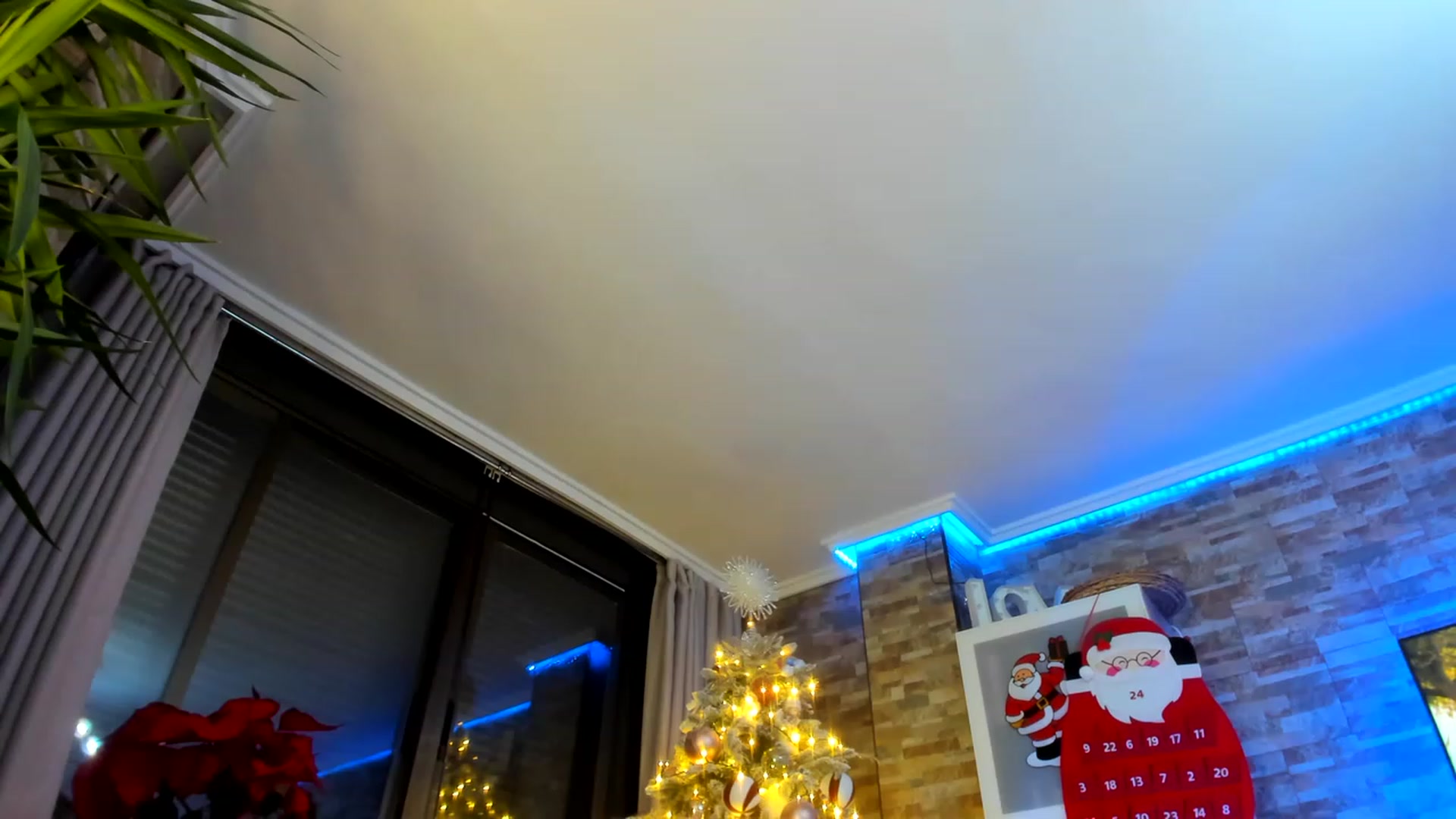 Gallery image thumbnail from AnooKiss's myfreecams stream on, 12/07/2022, 24:35 image 8 of 20