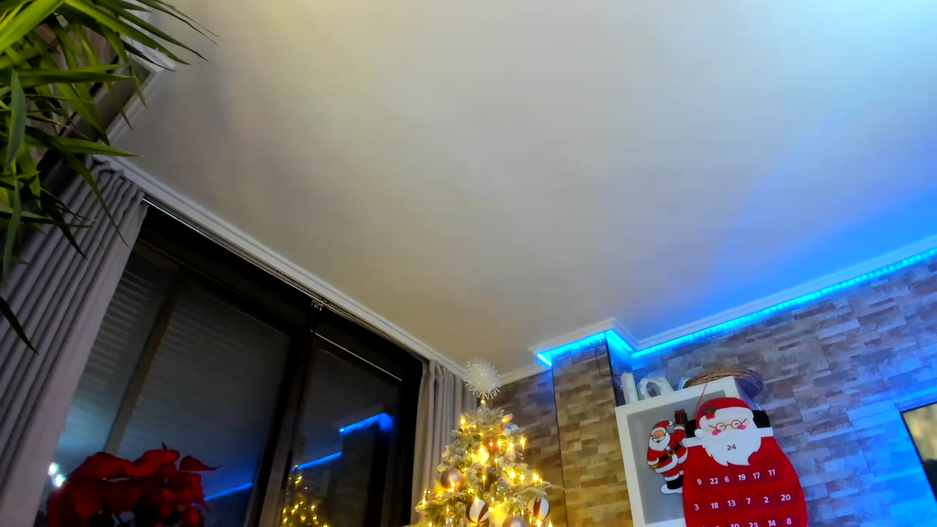 Gallery image thumbnail from AnooKiss's myfreecams stream on, 12/07/2022, 24:35 image 7 of 20