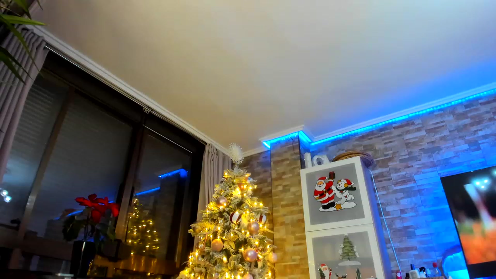 Gallery image thumbnail from AnooKiss's myfreecams stream on, 12/23/2022, 24:56 image 12 of 20