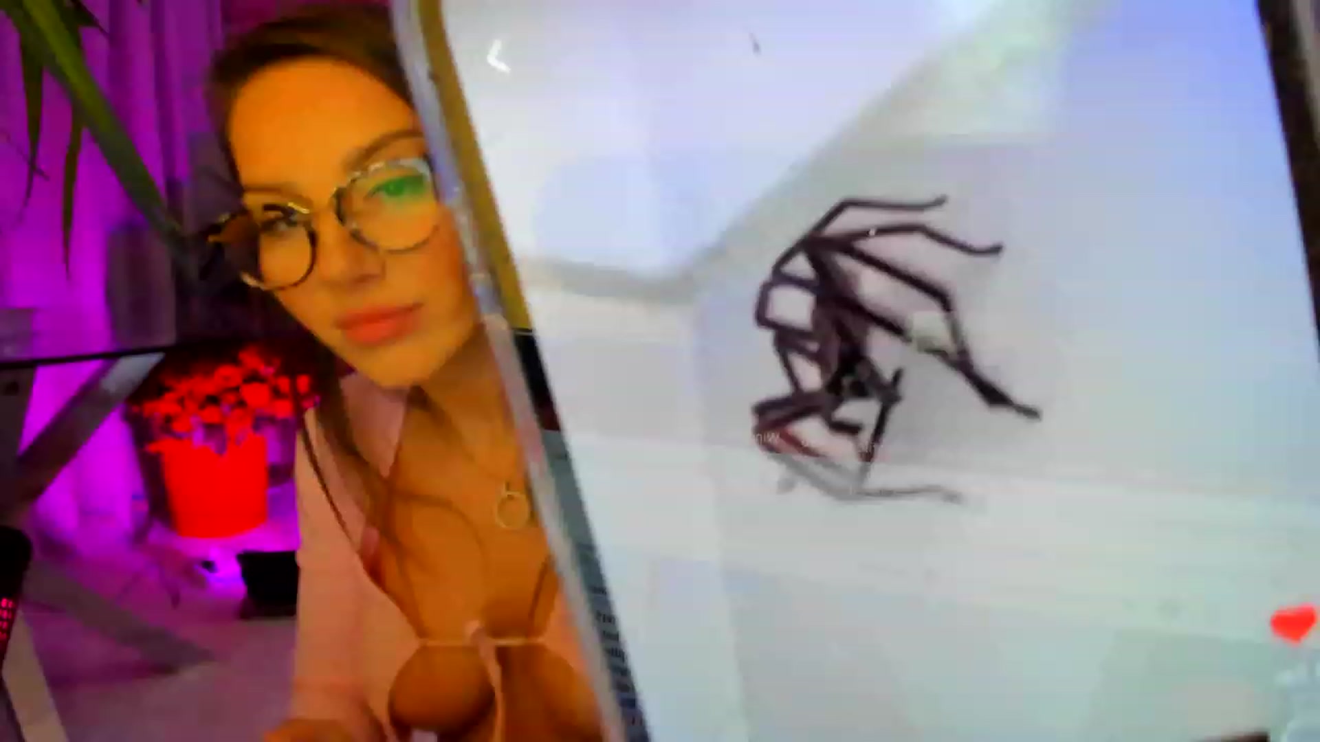Gallery image thumbnail from AnooKiss's myfreecams stream on, 05/21/2023, 01:54 image 6 of 20