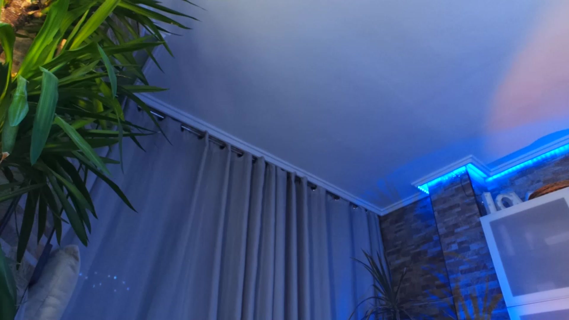 Gallery image thumbnail from Anoook's myfreecams stream on, 11/14/2022, 22:56 image 20 of 20