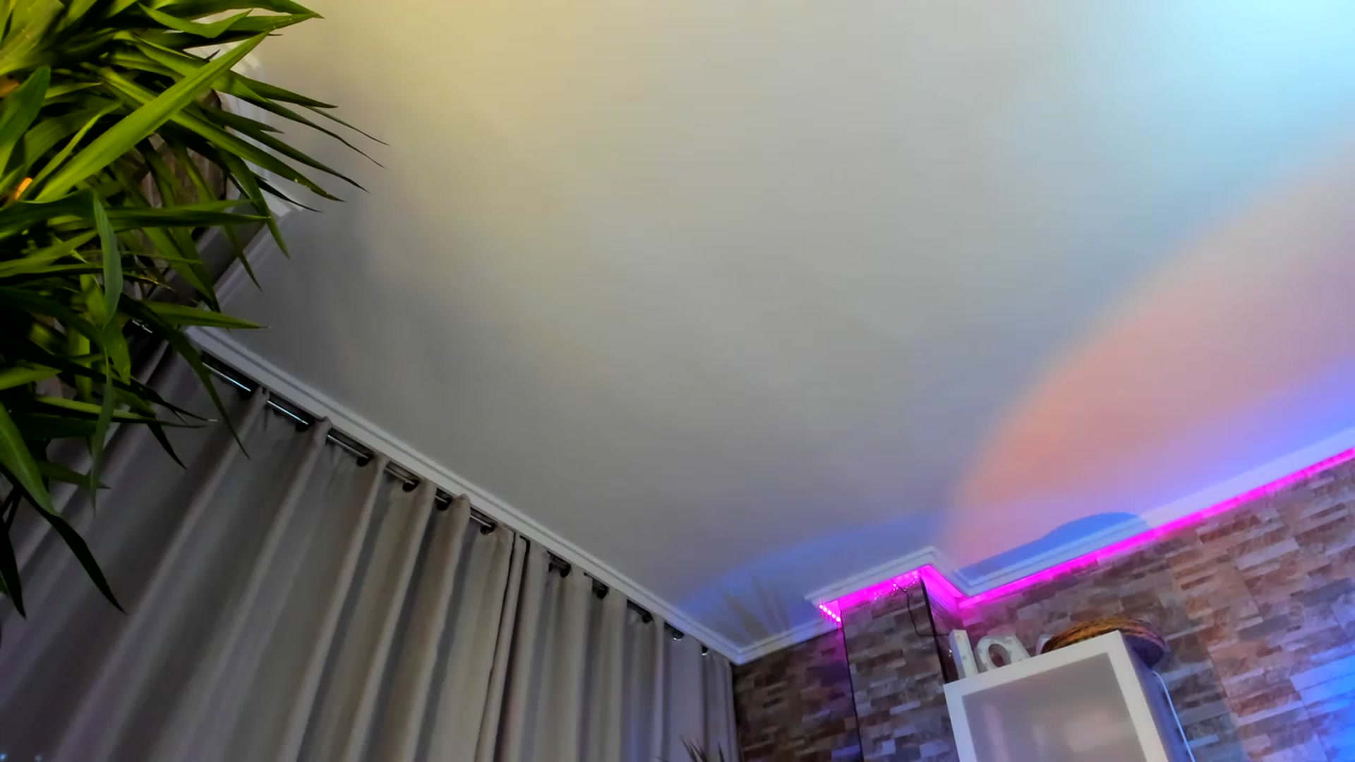 Gallery image thumbnail from Anoook's myfreecams stream on, 11/16/2022, 22:05 image 20 of 20