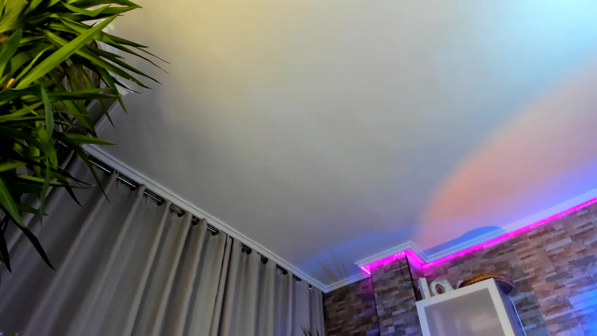 Gallery image thumbnail from Anoook's myfreecams stream on, 11/16/2022, 22:05 image 17 of 20