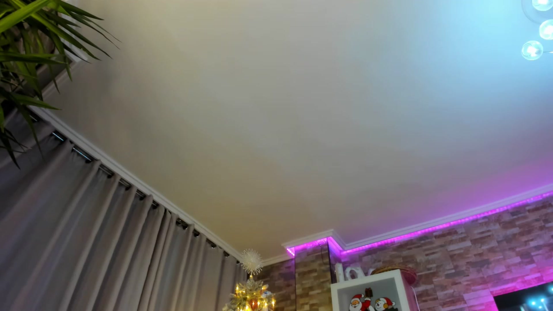 Gallery image thumbnail from Anoook's myfreecams stream on, 11/29/2022, 24:58 image 1 of 20