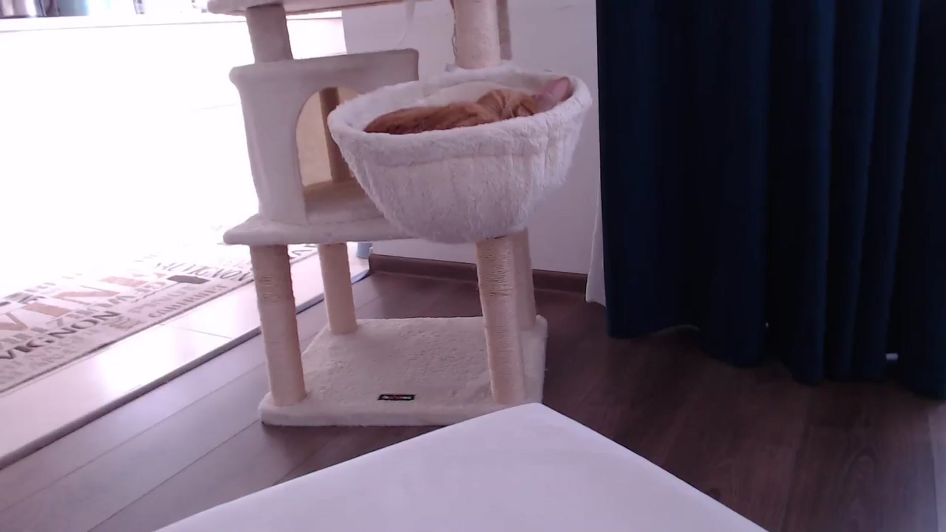 Gallery image thumbnail from AnyaHott's myfreecams stream on, 01/12/2026, 13:26 image 19 of 20