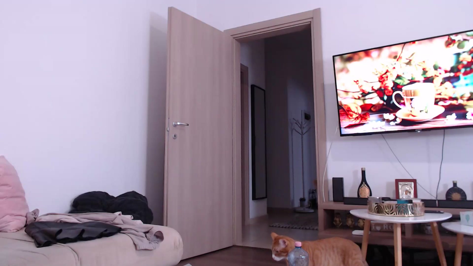 Gallery image thumbnail from AnyaHott's myfreecams stream on, 01/27/2026, 09:58 image 17 of 20