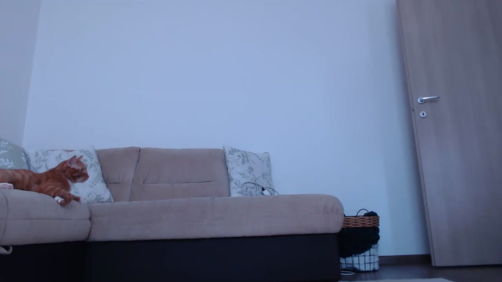 Gallery image thumbnail from AnyaHott's myfreecams stream on, 07/30/2026, 08:52 image 20 of 20