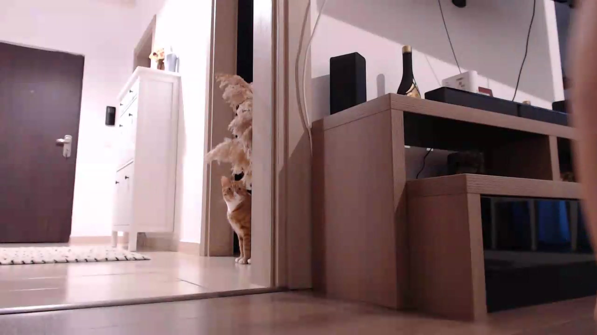 Gallery image thumbnail from AnyaHott's myfreecams stream on, 08/06/2026, 17:53 image 13 of 20