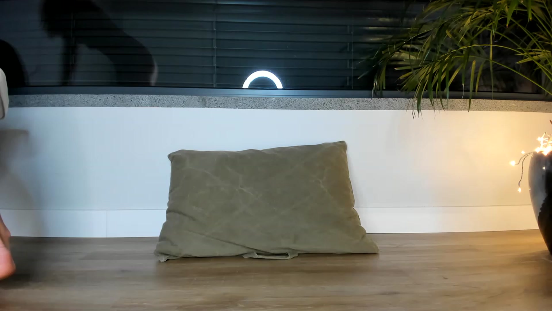Gallery image thumbnail from AoifeOneal's myfreecams stream on, 04/14/2023, 21:10 image 19 of 20