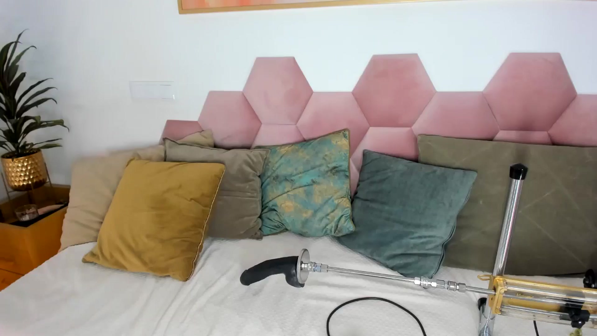 Gallery image thumbnail from AoifeOneal's myfreecams stream on, 08/18/2024, 20:48 image 19 of 20
