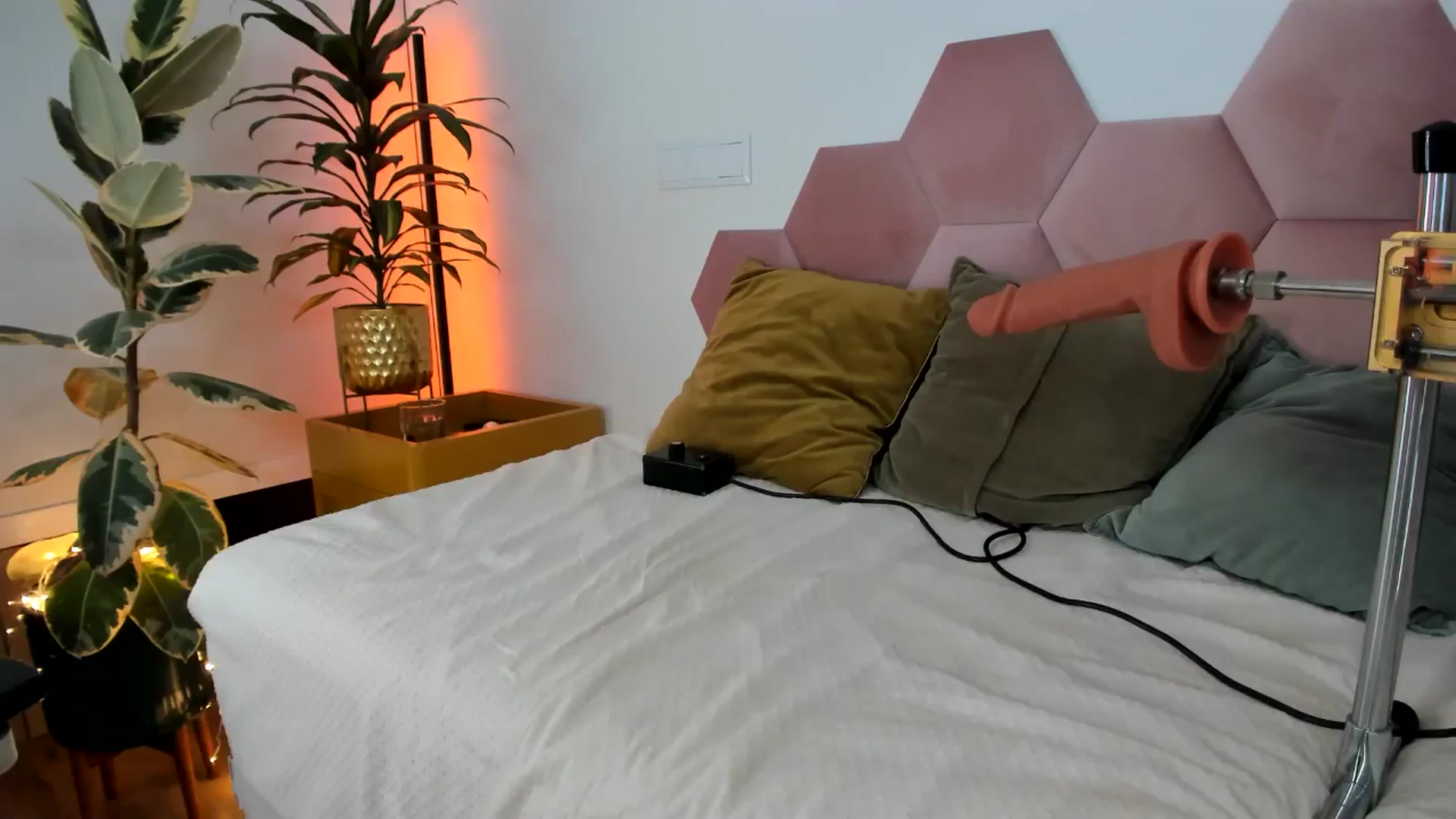 Gallery image thumbnail from AoifeOneal's myfreecams stream on, 12/10/2024, 22:26 image 20 of 20
