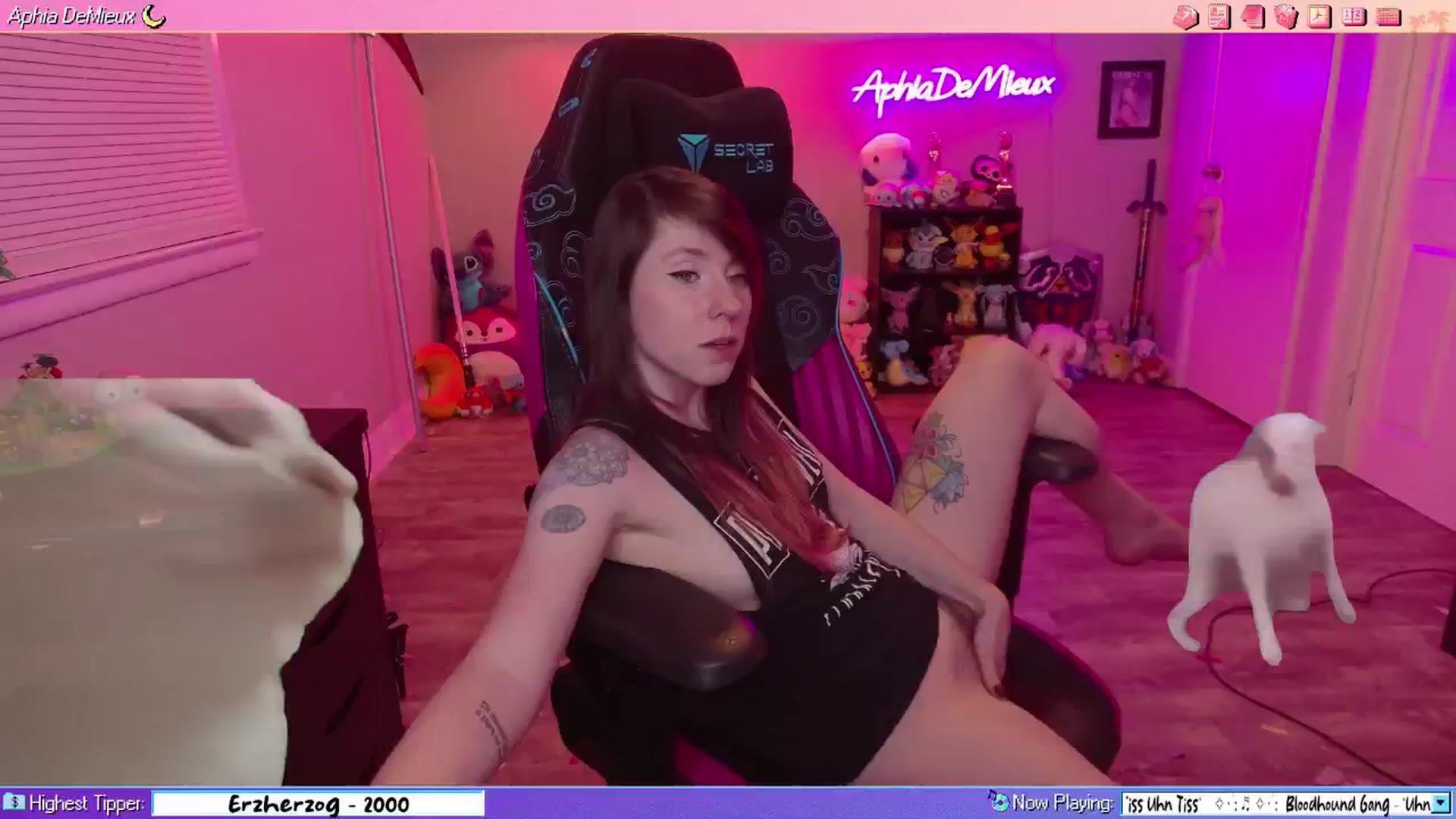 Gallery image thumbnail from AphiaDeMieux's myfreecams stream on, 02/13/2026, 03:58 image 10 of 20