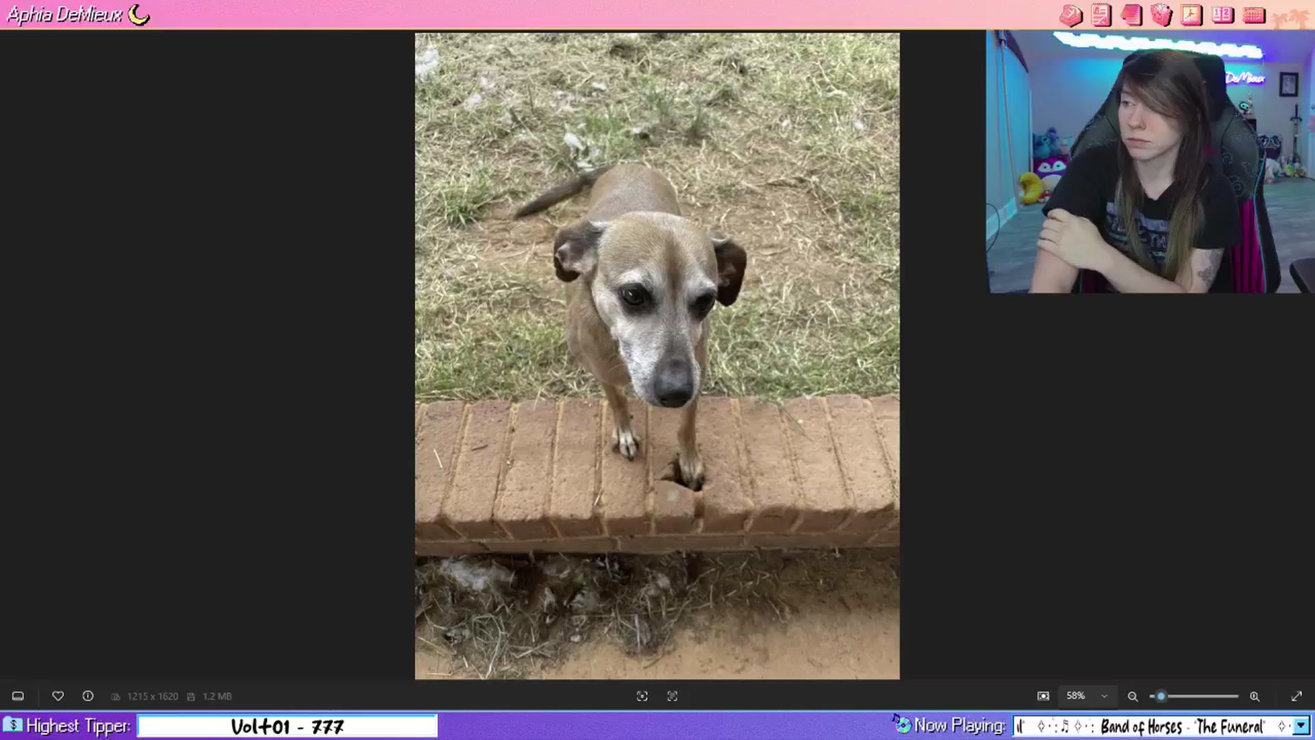 Gallery image thumbnail from AphiaDeMieux's myfreecams stream on, 03/24/2026, 04:15 image 6 of 20
