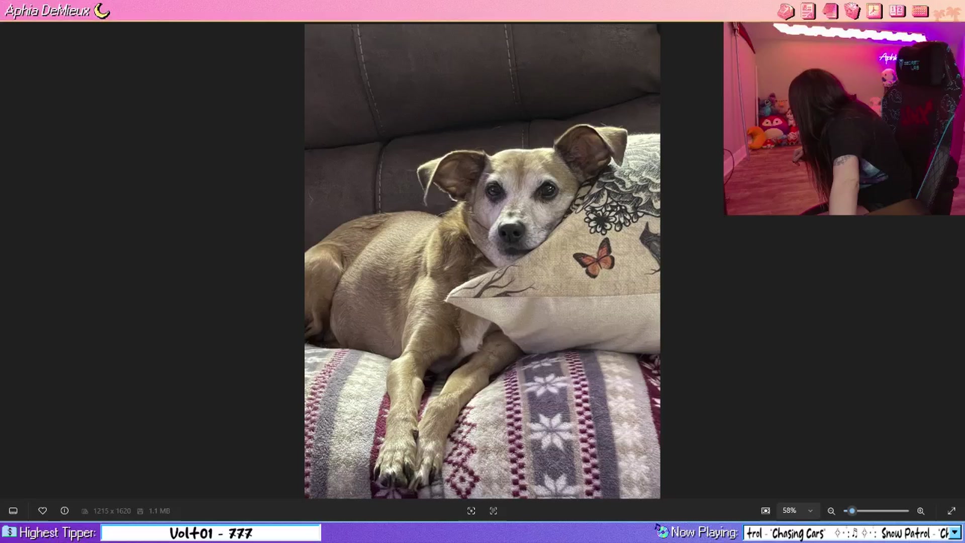 Gallery image thumbnail from AphiaDeMieux's myfreecams stream on, 03/24/2026, 04:15 image 7 of 20