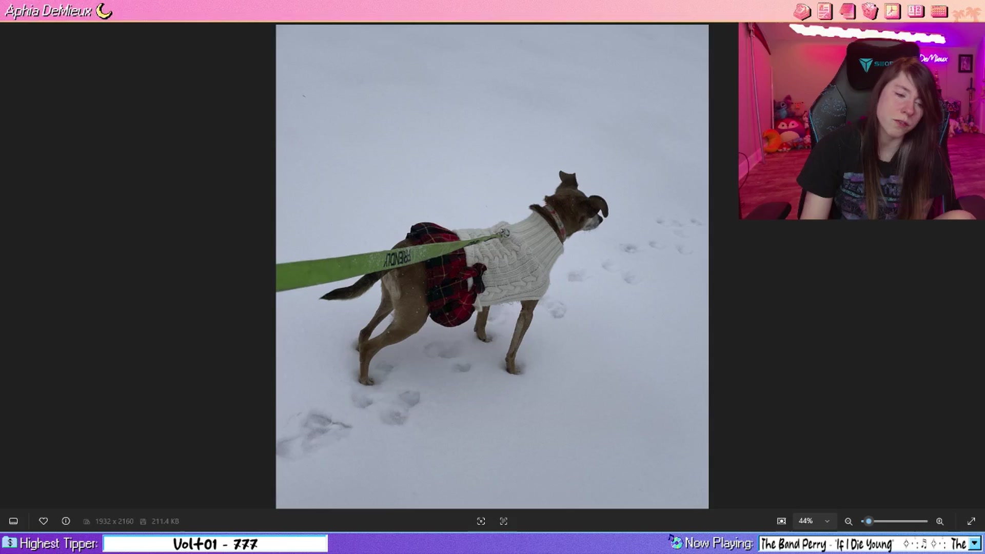 Gallery image thumbnail from AphiaDeMieux's myfreecams stream on, 03/24/2026, 04:15 image 11 of 20