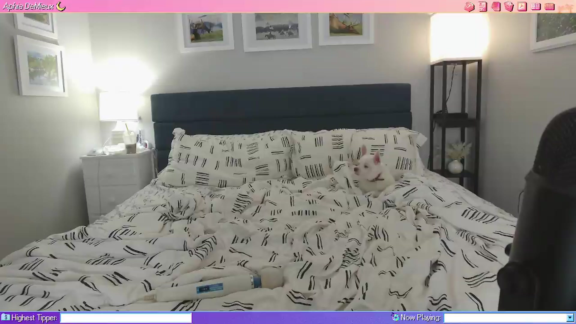Gallery image thumbnail from AphiaDeMieux's myfreecams stream on, 08/28/2026, 02:25 image 1 of 20