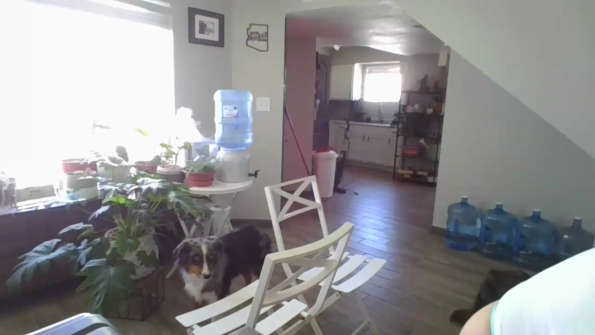 Gallery image thumbnail from Apisces1's myfreecams stream on, 06/19/2024, 18:58 image 6 of 20
