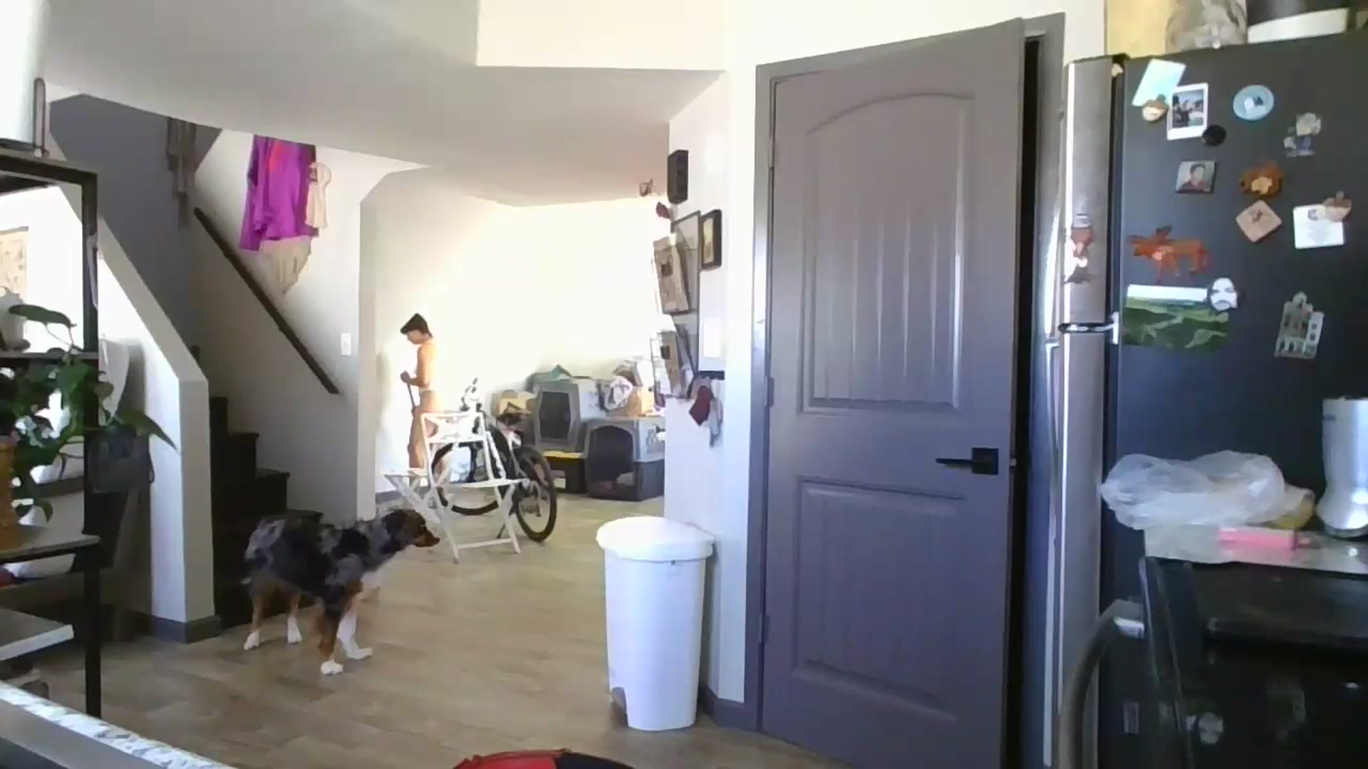 Gallery image thumbnail from Apisces1's myfreecams stream on, 06/19/2024, 20:09 image 3 of 20