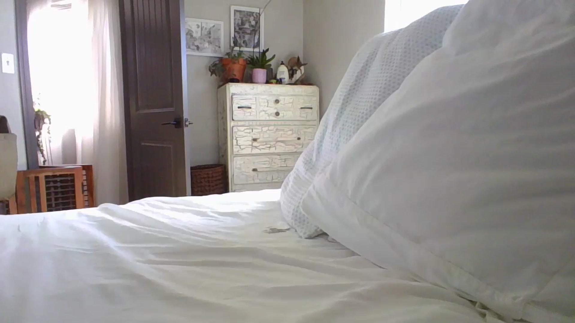 Gallery image thumbnail from Apisces1's myfreecams stream on, 06/19/2024, 23:19 image 4 of 20