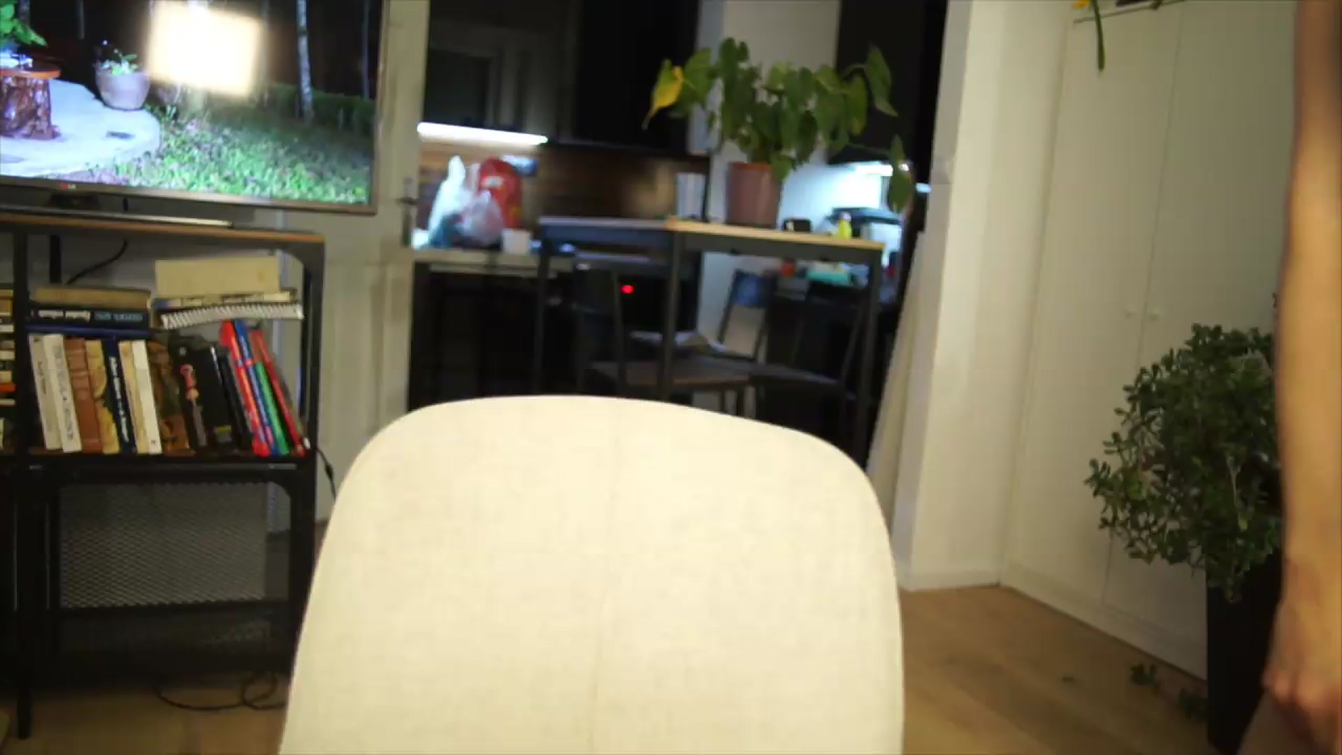 Gallery image thumbnail from AppleofYourEye's myfreecams stream on, 06/24/2026, 02:46 image 2 of 20