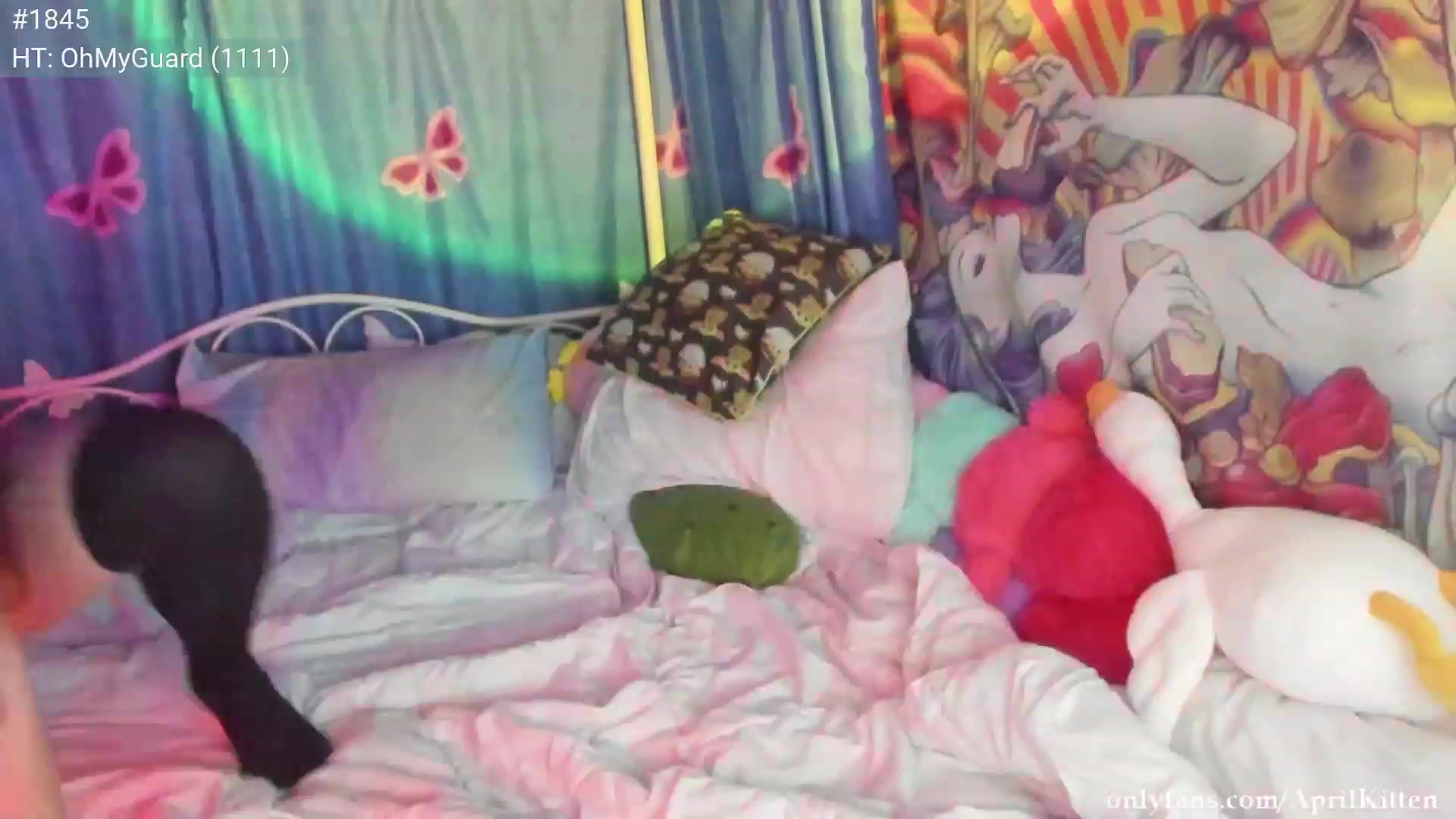 Gallery image thumbnail from April's myfreecams stream on, 05/31/2023, 03:58 image 8 of 20