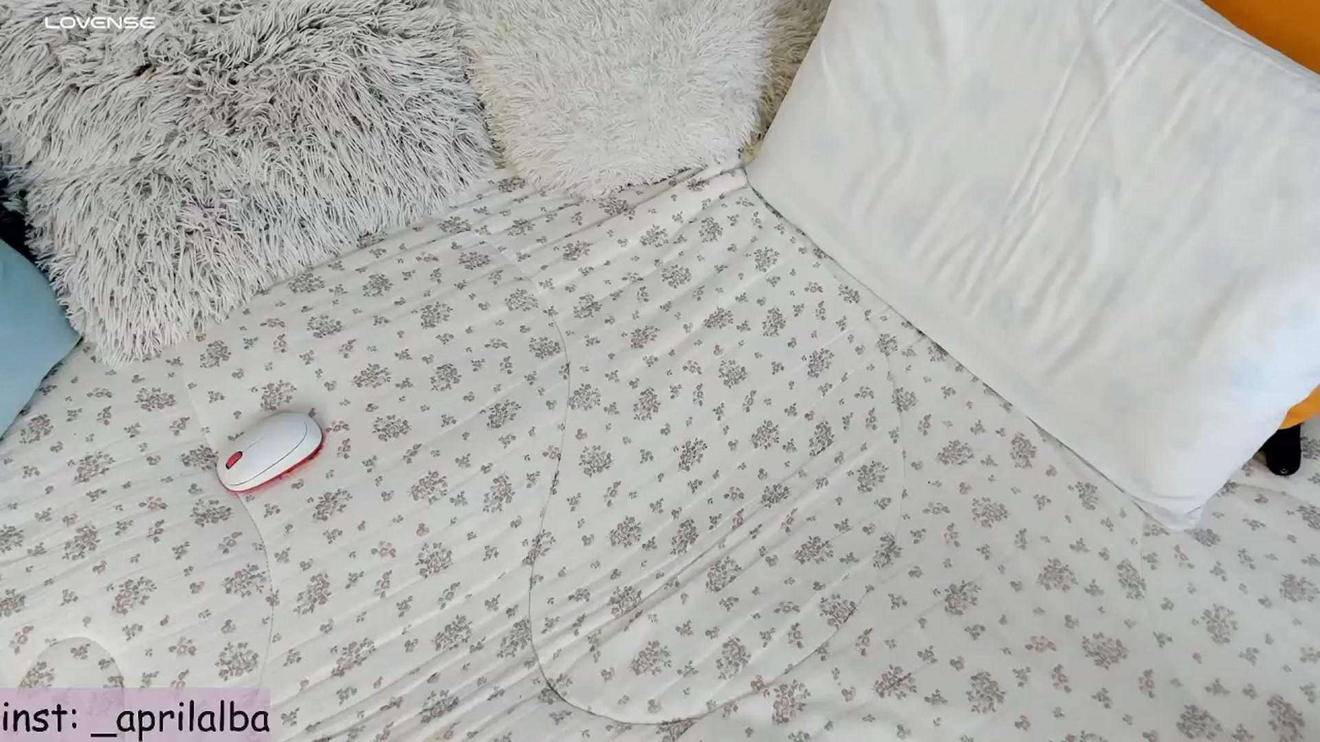 Gallery image thumbnail from AprilAlba777's myfreecams stream on, 06/02/2025, 05:57 image 9 of 20