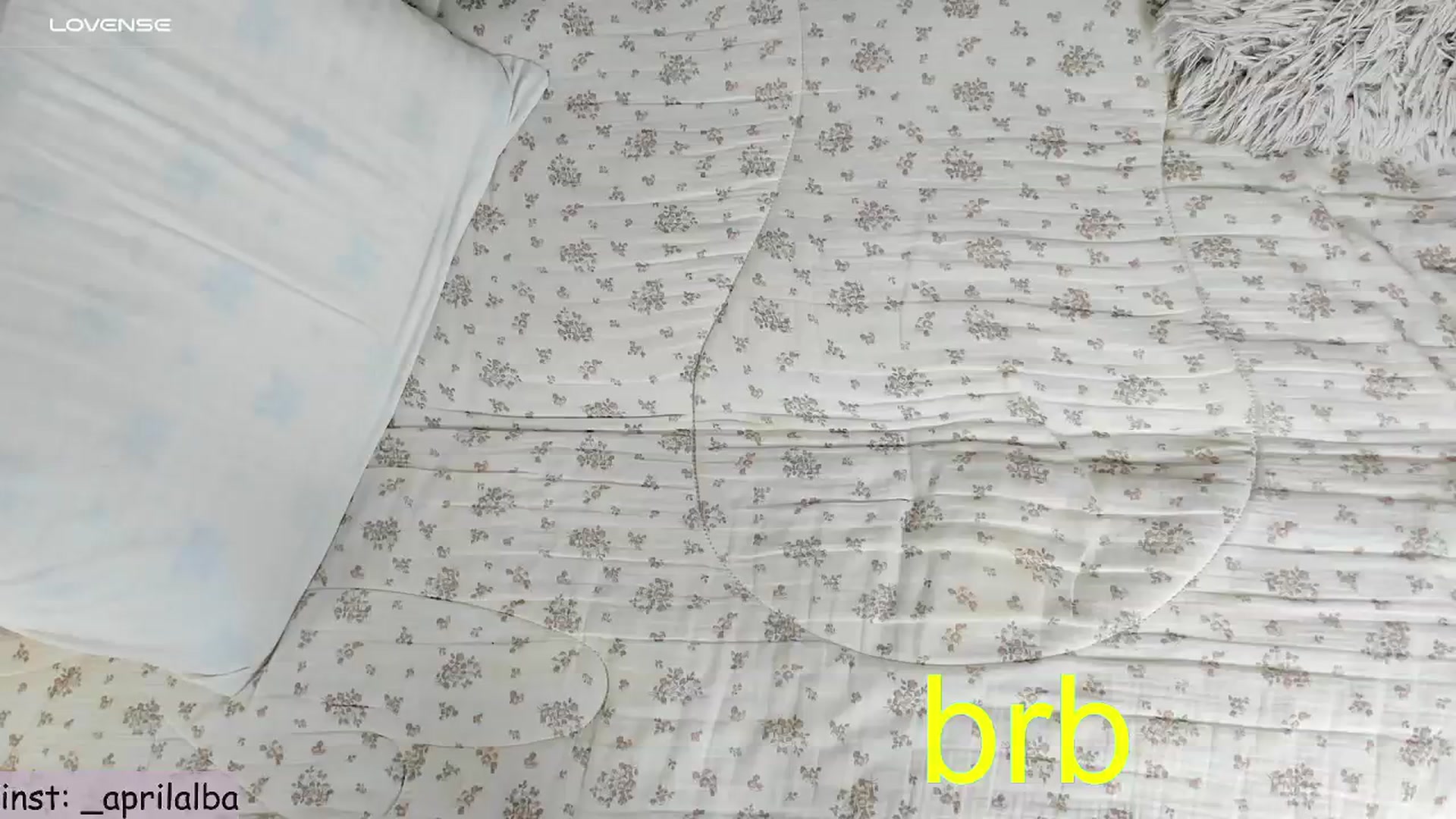 Gallery image thumbnail from AprilAlba777's myfreecams stream on, 07/14/2025, 02:26 image 5 of 20