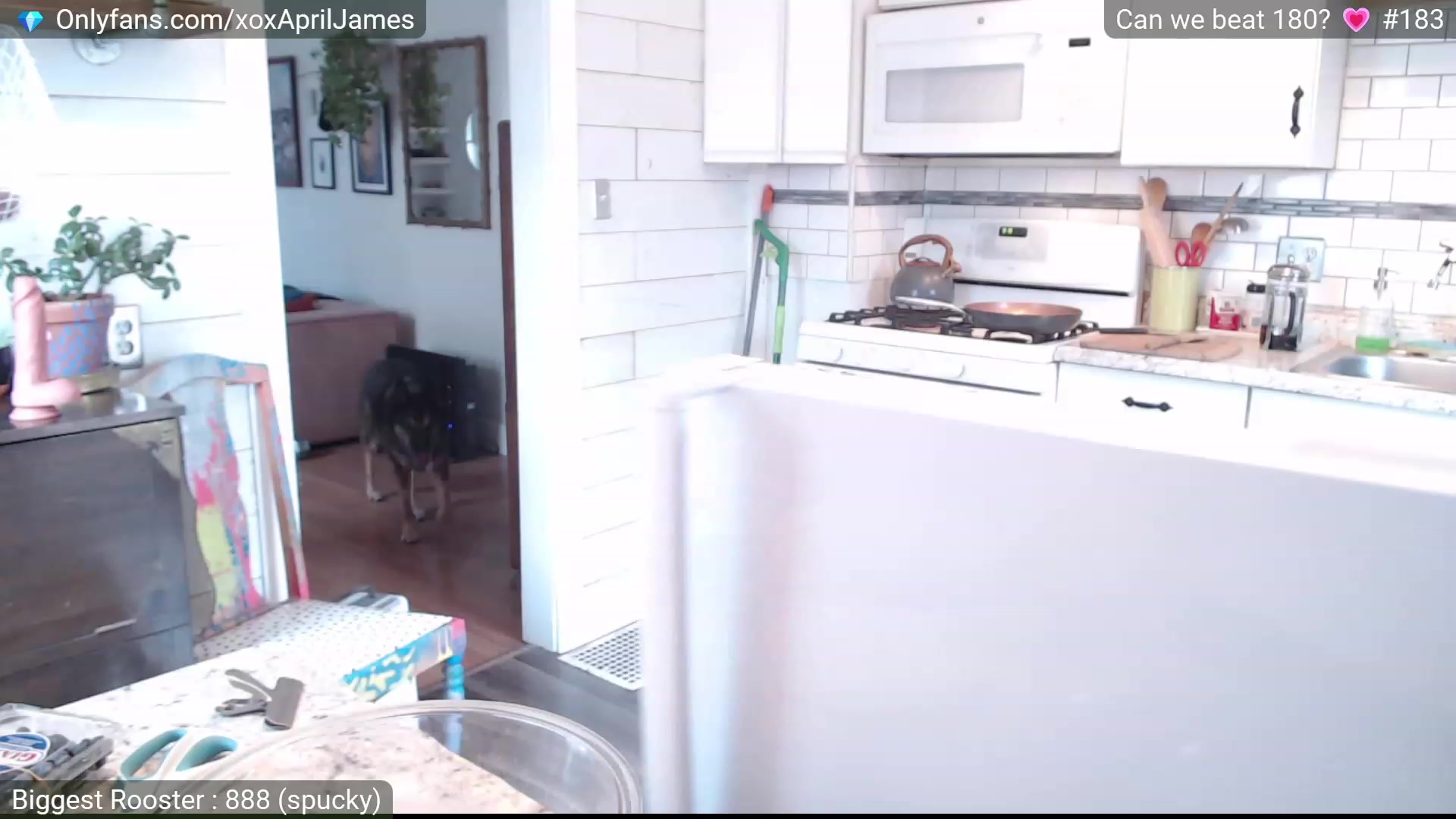 Gallery image thumbnail from AprilJames's myfreecams stream on, 11/24/2022, 18:03 image 8 of 20