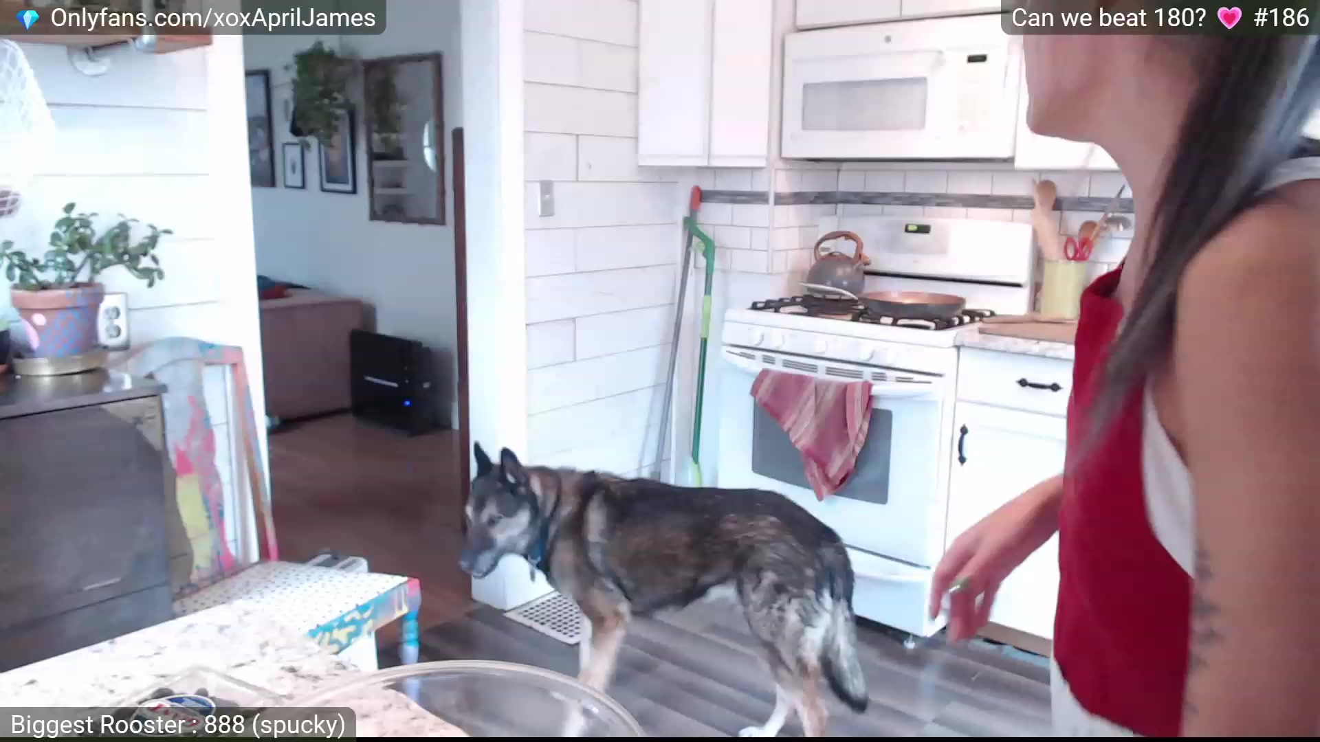 Gallery image thumbnail from AprilJames's myfreecams stream on, 11/24/2022, 18:03 image 3 of 20