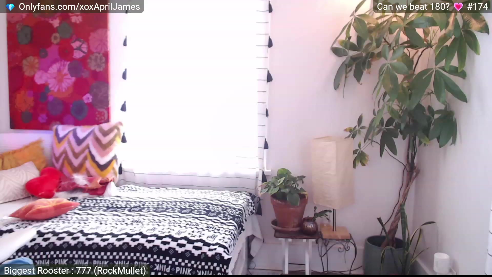 Gallery image thumbnail from AprilJames's myfreecams stream on, 11/26/2022, 21:00 image 13 of 20