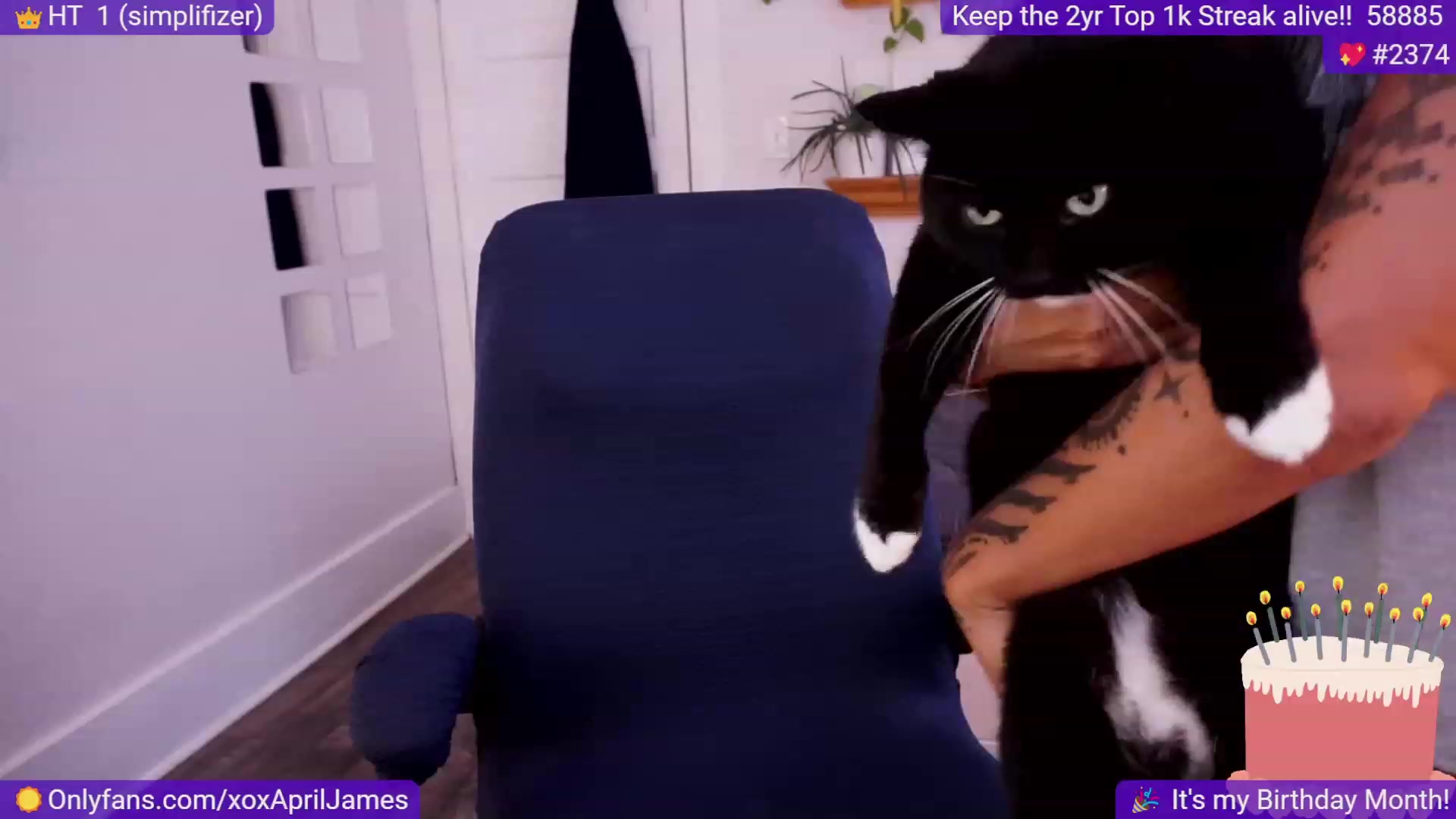 Gallery image thumbnail from AprilJames's myfreecams stream on, 09/24/2023, 24:06 image 3 of 20