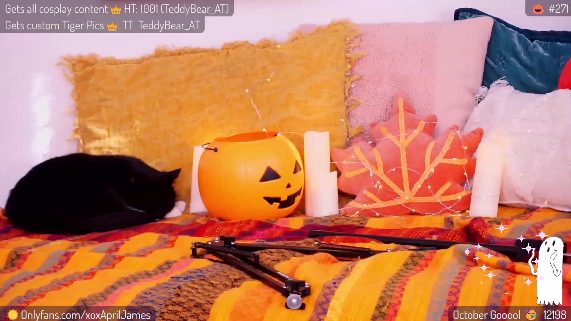 Gallery image thumbnail from AprilJames's myfreecams stream on, 10/31/2023, 21:27 image 13 of 20
