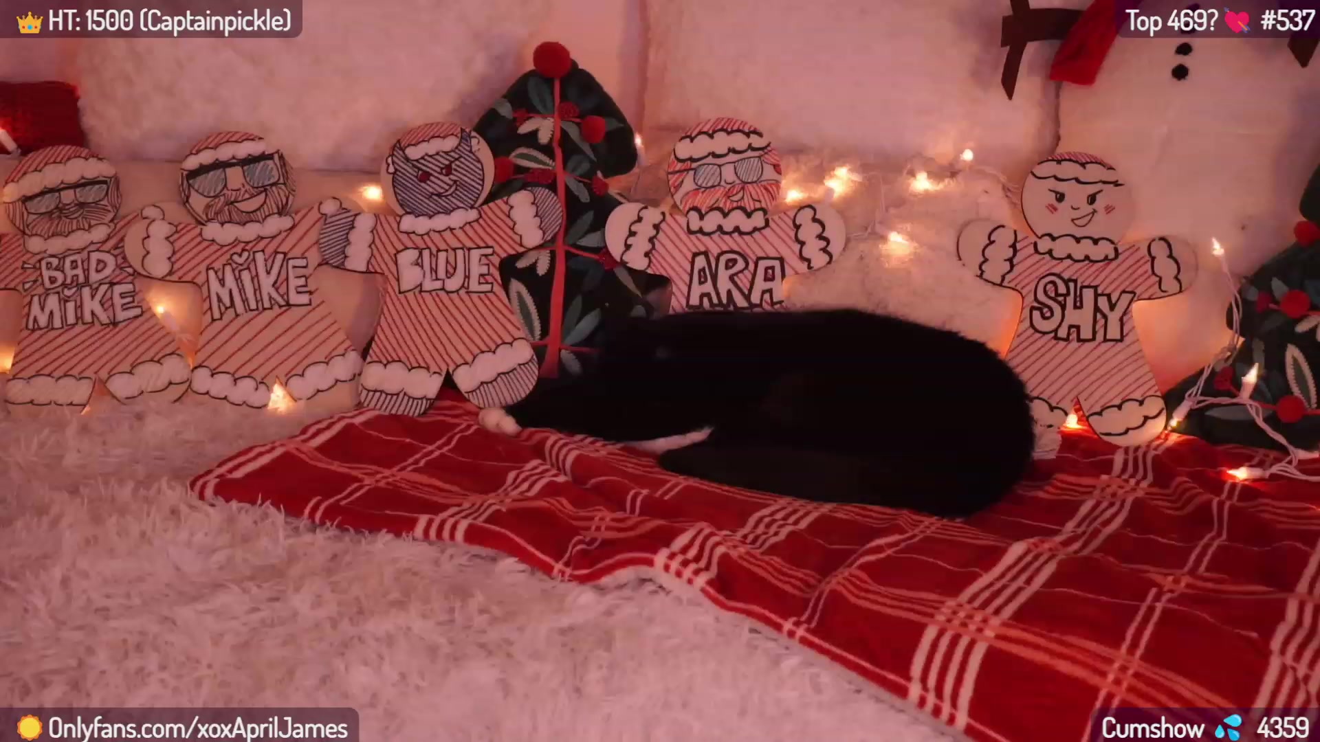 Gallery image thumbnail from AprilJames's myfreecams stream on, 12/07/2023, 24:07 image 8 of 20