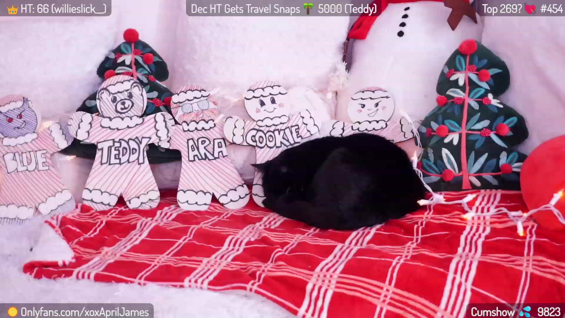 Gallery image thumbnail from AprilJames's myfreecams stream on, 12/09/2023, 20:49 image 16 of 20