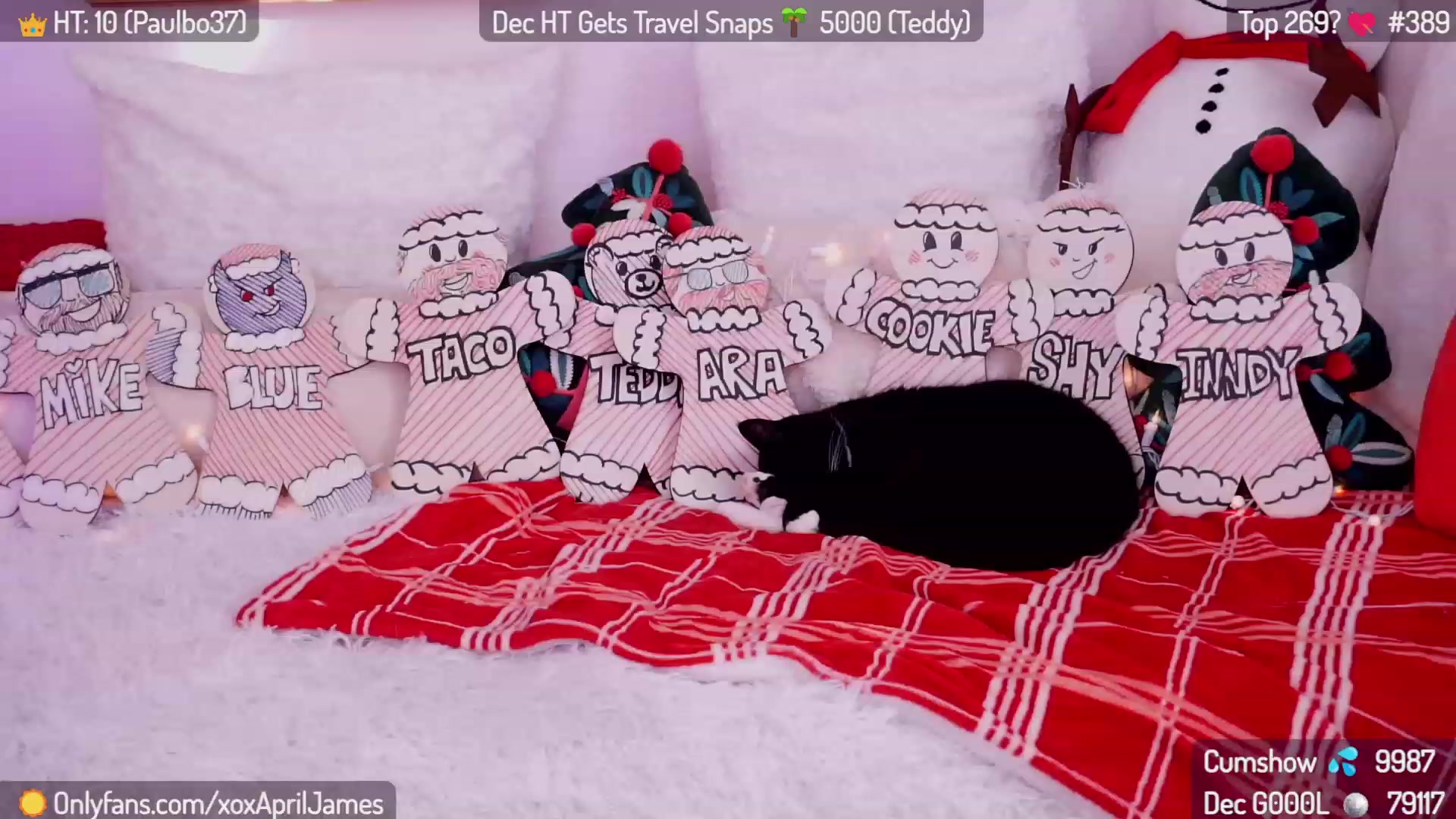 Gallery image thumbnail from AprilJames's myfreecams stream on, 12/19/2023, 22:57 image 4 of 20