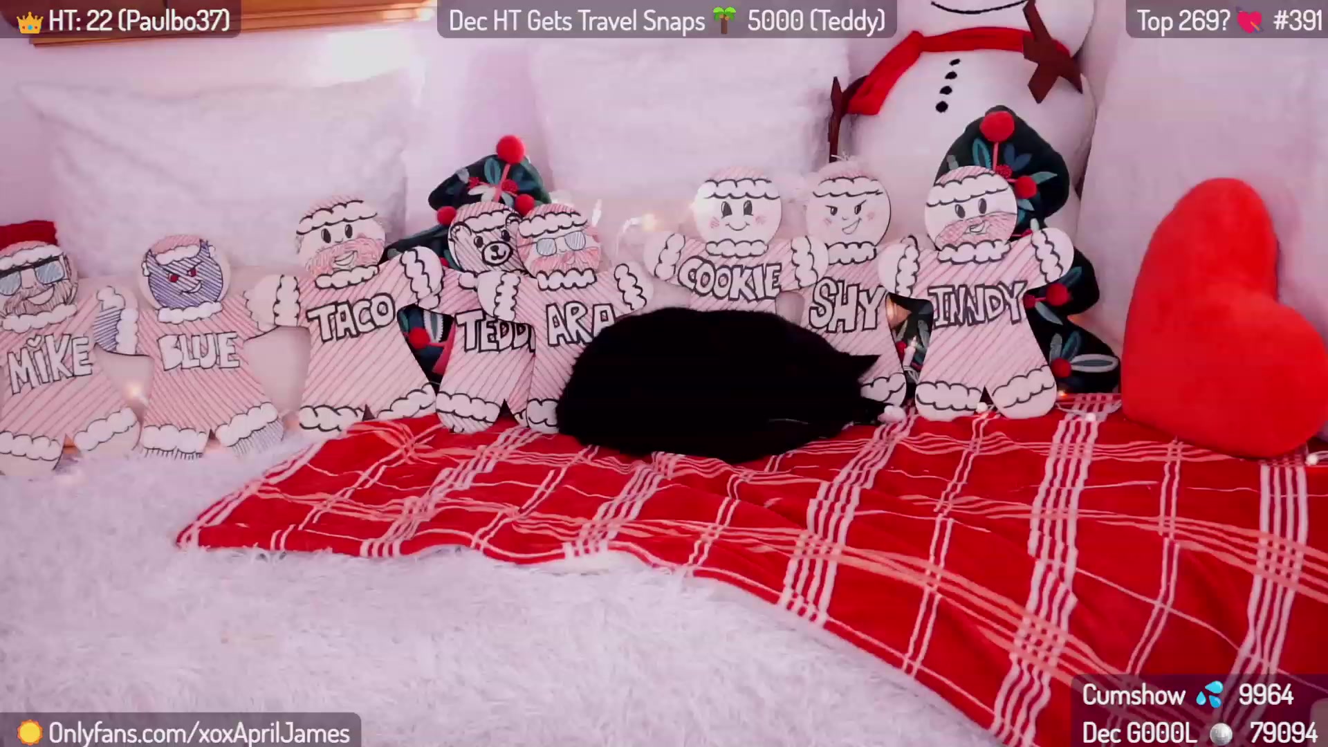 Gallery image thumbnail from AprilJames's myfreecams stream on, 12/19/2023, 22:57 image 12 of 20