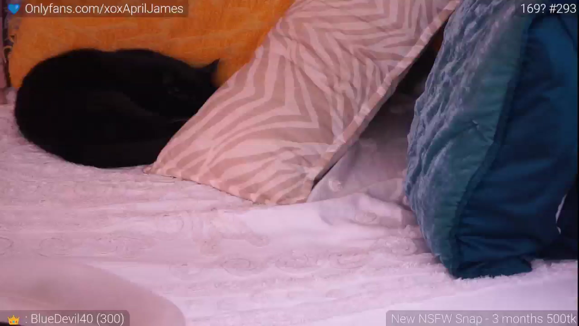 Gallery image thumbnail from AprilJames's myfreecams stream on, 06/05/2024, 22:01 image 6 of 20