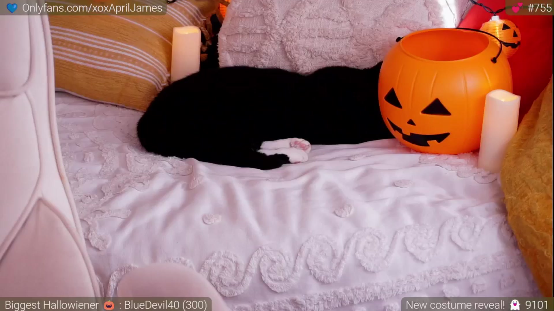 Gallery image thumbnail from AprilJames's myfreecams stream on, 10/05/2024, 23:27 image 9 of 20